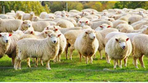 &Upsilon;&pi;&Alpha;&Alpha;&Tau;, &Kappa;. &Tau;&sigma;&iota;ά&rho;&alpha;&sigmaf;: &Epsilon;&kappa;&tau;&iota;&mu;&omicron;ύ&mu;&epsilon; ό&tau;&iota; &sigma;ύ&nu;&tau;&omicron;&mu;&alpha; &theta;&alpha; &kappa;&lambda;&epsilon;ί&sigma;&epsilon;&iota; &omicron; &kappa;ύ&kappa;&lambda;&omicron;&sigmaf; &tau;&eta;&sigmaf; &pi;&alpha;&nu;ώ&lambda;&eta;&sigmaf; &tau;&omega;&nu; &mu;&iota;&kappa;&rho;ώ&nu; &mu;&eta;&rho;&upsilon;&kappa;&alpha;&sigma;&tau;&iota;&kappa;ώ&nu; &epsilon;&phi;ό&sigma;&omicron;&nu; &delta;&epsilon;&nu; &upsilon;&pi;ά&rho;&xi;&epsilon;&iota; &nu;έ&omicron; &kappa;&rho;&omicron;ύ&sigma;&mu;&alpha;