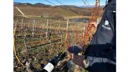 &Iota;&alpha;&nu;&omicron;&upsilon;ά&rho;&iota;&omicron;&sigmaf; &sigma;&tau;&omicron; &Kappa;&tau;ή&mu;&alpha; &Kappa;&Upsilon;&Rho;-&Gamma;&Iota;&Alpha;&Nu;&Nu;&Eta; - &Tau;&iota;&mu;ώ&nu;&tau;&alpha;&sigmaf; &tau;&eta;&nu; &Nu;ά&omicron;&upsilon;&sigma;&alpha;, &tau;&eta;&nu; &Pi;ό&lambda;&eta; &tau;&omicron;&upsilon; &Omicron;ί&nu;&omicron;&upsilon;