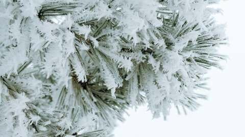 &Kappa;&alpha;&tau;&alpha;&beta;&omicron;&lambda;ή &alpha;&pi;&omicron;&zeta;&eta;&mu;&iota;ώ&sigma;&epsilon;&omega;&nu; &alpha;&pi;ό &tau;&omicron;&nu; &Epsilon;&Lambda;&Gamma;&Alpha; - &Pi;&omicron;&iota;&omicron;&iota; &pi;&alpha;&rho;&alpha;&gamma;&omega;&gamma;&omicron;ί &theta;&alpha; &delta;&omicron;&upsilon;&nu; &chi;&rho;ή&mu;&alpha;&tau;&alpha; &sigma;&tau;&omicron;&upsilon;&sigmaf; &lambda;&omicron;&gamma;&alpha;&rho;&iota;&alpha;&sigma;&mu;&omicron;ύ&sigmaf; &tau;&omicron;&upsilon;&sigmaf;