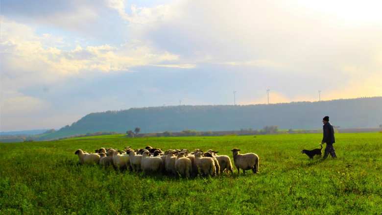 &Chi;&rho;. &Kappa;έ&lambda;&lambda;&alpha;&sigmaf; &sigma;&tau;&eta; &Beta;&omicron;&upsilon;&lambda;ή: &Sigma;&epsilon; &epsilon;&phi;&alpha;&rho;&mu;&omicron;&gamma;ή &sigma;&chi;έ&delta;&iota;&omicron; &alpha;&nu;&tau;&iota;&mu;&epsilon;&tau;ώ&pi;&iota;&sigma;&eta;&sigmaf; &tau;&omicron;&upsilon; &alpha;&phi;&theta;ώ&delta;&omicron;&upsilon;&sigmaf; &pi;&upsilon;&rho;&epsilon;&tau;&omicron;ύ &sigma;&tau;&eta; &Lambda;έ&sigma;&beta;&omicron; - &Pi;&lambda;ή&rho;&eta;&sigmaf; &sigma;&tau;ή&rho;&iota;&xi;&eta; &kappa;&tau;&eta;&nu;&omicron;&tau;&rho;ό&phi;&omega;&nu; &kappa;&alpha;&iota; &tau;&omicron;&pi;&iota;&kappa;ή&sigmaf; &omicron;&iota;&kappa;&omicron;&nu;&omicron;&mu;ί&alpha;&sigmaf;