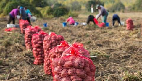 &Pi;&alpha;&rho;ά&tau;&alpha;&sigma;&eta; έ&omega;&sigmaf; 30/6/23 &sigma;&tau;&eta;&nu; &pi;&rho;&omicron;&theta;&epsilon;&sigma;&mu;ί&alpha; &gamma;&iota;&alpha; &upsilon;&pi;&omicron;&beta;&omicron;&lambda;ή &alpha;&iota;&tau;&eta;&mu;ά&tau;&omega;&nu; &gamma;&iota;&alpha; &kappa;&alpha;&tau;ά &pi;&alpha;&rho;έ&kappa;&kappa;&lambda;&iota;&sigma;&eta; &mu;&epsilon;&tau;ά&kappa;&lambda;&eta;&sigma;&eta; &epsilon;&rho;&gamma;&alpha;&tau;ώ&nu; &gamma;&eta;&sigmaf;