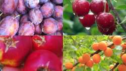 &Alpha;&nu;&alpha;&gamma;&gamma;&epsilon;&lambda;ί&alpha; &zeta;&eta;&mu;&iota;ώ&nu; &sigma;&epsilon; &kappa;&alpha;&lambda;&lambda;&iota;έ&rho;&gamma;&epsilon;&iota;&epsilon;&sigmaf; &alpha;&pi;ό &beta;&rho;&omicron;&chi;ό&pi;&tau;&omega;&sigma;&eta; 12/06/2023 &sigma;&tau;&eta;&nu; &Delta;/&Tau;.&Kappa;. &Beta;&Epsilon;&Rho;&Omicron;&Iota;&Alpha;&Sigma;