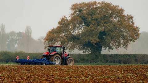 &Pi;&Omicron;&Gamma;&Epsilon;&Delta;&Upsilon;: &Alpha;&pi;ό &tau;&omicron; &Pi;&alpha;&kappa;έ&tau;&omicron; &Chi;&alpha;&tau;&zeta;&eta;&gamma;ά&kappa;&eta; &sigma;&tau;&omicron; &Pi;&alpha;&kappa;έ&tau;&omicron; &Chi;&alpha;&tau;&zeta;&eta;&delta;ά&kappa;&eta;: έ&nu;&alpha; &gamma;&rho;ά&mu;&mu;&alpha; &delta;&rho;ό&mu;&omicron;&sigmaf;