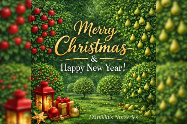 &Epsilon;&upsilon;&chi;έ&sigmaf; &gamma;&iota;&alpha; &Kappa;&alpha;&lambda;ά &Chi;&rho;&iota;&sigma;&tau;&omicron;ύ&gamma;&epsilon;&nu;&nu;&alpha; &alpha;&pi;ό &tau;&alpha; &Phi;&upsilon;&tau;ώ&rho;&iota;&alpha; &Delta;&alpha;&nu;&iota;&eta;&lambda;ί&delta;&eta;&sigmaf;