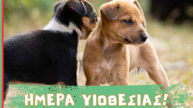 &laquo;&Eta;&mu;έ&rho;&alpha; &upsilon;&iota;&omicron;&theta;&epsilon;&sigma;ί&alpha;&sigmaf; &alpha;&delta;έ&sigma;&pi;&omicron;&tau;&omega;&nu;&raquo; &tau;&omicron; &Sigma;ά&beta;&beta;&alpha;&tau;&omicron; 4 &Alpha;&pi;&rho;&iota;&lambda;ί&omicron;&upsilon; &sigma;&tau;&omicron; &Lambda;&iota;&tau;ό&chi;&omega;&rho;&omicron;