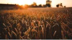 &Omicron;&upsilon;&kappa;&rho;&alpha;&nu;ί&alpha;-&epsilon;&xi;&alpha;&gamma;&omega;&gamma;ή &sigma;&iota;&tau;&eta;&rho;ώ&nu; : &Alpha;ύ&rho;&iota;&omicron; &epsilon;ί&nu;&alpha;&iota; &pi;&rho;&omicron;&gamma;&rho;&alpha;&mu;&mu;&alpha;&tau;&iota;&sigma;&mu;έ&nu;&epsilon;&sigmaf; &omicron;&iota; &sigma;&upsilon;&nu;&omicron;&mu;&iota;&lambda;ί&epsilon;&sigmaf;