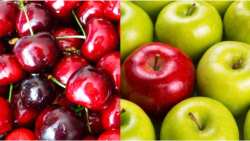 &Gamma;&epsilon;&omega;&rho;&gamma;&iota;&kappa;έ&sigmaf; &pi;&rho;&omicron;&epsilon;&iota;&delta;&omicron;&pi;&omicron;&iota;ή&sigma;&epsilon;&iota;&sigmaf; &gamma;&iota;&alpha; &tau;&alpha; &kappa;&epsilon;&rho;ά&sigma;&iota;&alpha; &kappa;&alpha;&iota; &tau;&alpha; &mu;ή&lambda;&alpha;