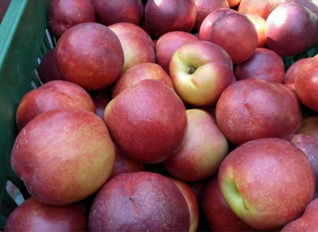 &Sigma;&epsilon; &iota;&kappa;&alpha;&nu;&omicron;&pi;&omicron;&iota;&eta;&tau;&iota;&kappa;ά &epsilon;&pi;ί&pi;&epsilon;&delta;&alpha; &omicron;&iota; &tau;&iota;&mu;έ&sigmaf; &gamma;&iota;&alpha; &tau;&omicron;&upsilon;&sigmaf; &sigma;&upsilon;&nu;&epsilon;&tau;&alpha;&iota;&rho;&iota;&zeta;ό&mu;&epsilon;&nu;&omicron;&upsilon;&sigmaf; &rho;&omicron;&delta;&alpha;&kappa;&iota;&nu;&omicron;&pi;&alpha;&rho;&alpha;&gamma;&omega;&gamma;&omicron;ύ&sigmaf; - &Alpha;&mu;&epsilon;ί&omega;&tau;&eta; &pi;&alpha;&rho;&alpha;&mu;έ&nu;&epsilon;&iota; &eta; &zeta;ή&tau;&eta;&sigma;&eta;