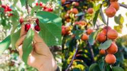 &Eta;&mu;&alpha;&theta;ί&alpha;: &Alpha;&nu;&alpha;&kappa;&omicron;ί&nu;&omega;&sigma;&eta; &gamma;&iota;&alpha; &upsilon;&pi;&omicron;&beta;&omicron;&lambda;ή &delta;&eta;&lambda;ώ&sigma;&epsilon;&omega;&nu; &zeta;&eta;&mu;&iota;ά&sigmaf; &alpha;&pi;ό &beta;&rho;&omicron;&chi;ή &sigma;&epsilon; &Mu;&alpha;&kappa;&rho;&omicron;&chi;ώ&rho;&iota; &kappa;&alpha;&iota; &Delta;&iota;&alpha;&beta;&alpha;&tau;ό