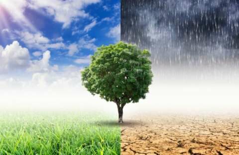 &Kappa;&lambda;&iota;&mu;&alpha;&tau;&iota;&kappa;ή &alpha;&lambda;&lambda;&alpha;&gamma;ή: &Sigma;&upsilon;&mu;&mu;&epsilon;&tau;&omicron;&chi;ή &tau;&omicron;&upsilon; &Upsilon;&pi;&omicron;&upsilon;&rho;&gamma;&omicron;ύ &Omicron;&iota;&kappa;&omicron;&nu;&omicron;&mu;&iota;&kappa;ώ&nu; &kappa;. &Chi;&rho;ή&sigma;&tau;&omicron;&upsilon; &Sigma;&tau;&alpha;ϊ&kappa;&omicron;ύ&rho;&alpha; &sigma;&tau;&eta; &delta;&iota;ά&sigma;&kappa;&epsilon;&psi;&eta; &tau;&omega;&nu; &Eta;&nu;&omega;&mu;έ&nu;&omega;&nu; &Epsilon;&theta;&nu;ώ&nu;