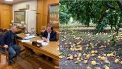 &Nu;&alpha; &epsilon;&nu;&tau;&alpha;&chi;&theta;&omicron;ύ&nu; ό&lambda;&epsilon;&sigmaf; &omicron;&iota; &pi;&omicron;&iota;&kappa;&iota;&lambda;ί&epsilon;&sigmaf; &kappa;&alpha;&iota; &nu;&alpha; &delta;&omicron;&theta;&omicron;ύ&nu; &sigma;&tau;&omicron; &sigma;ύ&nu;&omicron;&lambda;&omicron; &tau;&omega;&nu; &pi;&alpha;&rho;&alpha;&gamma;&omega;&gamma;ώ&nu; &tau;&alpha; 72 &epsilon;&upsilon;&rho;ώ &zeta;ή&tau;&eta;&sigma;&epsilon; &omicron; &Tau;&sigma;&alpha;&beta;&delta;&alpha;&rho;ί&delta;&eta;&sigmaf; &alpha;&pi;ό &tau;&omicron;&nu; &Gamma;&epsilon;&omega;&rho;&gamma;&alpha;&nu;&tau;ά