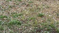 &Xi;&alpha;&phi;&nu;&iota;&kappa;ό &kappa;&alpha;&lambda;&omicron;&kappa;&alpha;&iota;&rho;&iota;&nu;ό &mu;&pi;&omicron;&upsilon;&rho;ί&nu;&iota; &mu;&epsilon; έ&nu;&tau;&omicron;&nu;&eta; &beta;&rho;&omicron;&chi;ό&pi;&tau;&omega;&sigma;&eta; &kappa;&alpha;&iota; &chi;&alpha;&lambda;ά&zeta;&iota; &sigma;&tau;&eta;&nu; &Pi;.&Epsilon;. &Kappa;&alpha;&sigma;&tau;&omicron;&rho;&iota;ά&sigmaf;