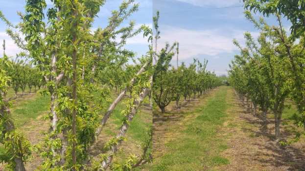 &Alpha;&pi;ό&phi;&alpha;&sigma;&eta; &gamma;&iota;&alpha; &pi;&alpha;&rho;ά&sigma;&tau;&alpha;&sigma;&eta; &delta;&iota;&alpha;&mu;&alpha;&rho;&tau;&upsilon;&rho;ί&alpha;&sigmaf; &sigma;&tau;&omicron; &upsilon;&pi;&omicron;&kappa;&alpha;&tau;ά&sigma;&tau;&eta;&mu;&alpha; &tau;&omicron;&upsilon; &Epsilon;&Lambda;&Gamma;&Alpha; &sigma;&tau;&eta; &Beta;έ&rho;&omicron;&iota;&alpha; &alpha;&pi;ό &tau;&omicron; &Alpha;&Sigma; &Nu;ά&omicron;&upsilon;&sigma;&alpha;&sigmaf; "&Mu;&Alpha;&Rho;&Iota;&Nu;&Omicron;&Sigma; &Alpha;&Nu;&Tau;&Upsilon;&Pi;&Alpha;&Sigma;"