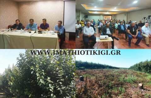 &Alpha;&nu;&alpha;&delta;&iota;ά&rho;&theta;&rho;&omega;&sigma;&eta; &kappa;&alpha;&lambda;&lambda;&iota;&epsilon;&rho;&gamma;&epsilon;&iota;ώ&nu;: &Tau;&omicron; &pi;&omicron;&lambda;&upsilon;&alpha;&nu;&alpha;&mu;&epsilon;&nu;ό&mu;&epsilon;&nu;&omicron; &pi;&rho;ό&gamma;&rho;&alpha;&mu;&mu;&alpha; &pi;&omicron;&upsilon; &delta;&epsilon;&nu; &kappa;&alpha;&lambda;ύ&pi;&tau;&epsilon;&iota; &tau;&iota;&sigmaf; &alpha;&pi;&alpha;&iota;&tau;ή&sigma;&epsilon;&iota;&sigmaf; &tau;&omega;&nu; &pi;&alpha;&rho;&alpha;&gamma;&omega;&gamma;ώ&nu; (Videos)