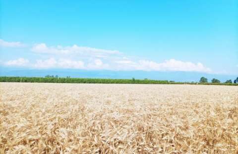 &Sigma;&tau;. &Alpha;&rho;&alpha;&chi;&omega;&beta;ί&tau;&eta;&sigmaf;: &ldquo;&Tau;&eta;&nu; &gamma;&epsilon;&omega;&rho;&gamma;&iota;&kappa;ή &epsilon;&kappa;&pi;&alpha;ί&delta;&epsilon;&upsilon;&sigma;&eta; &delta;&iota;&alpha;&lambda;ύ&epsilon;&iota; &eta; &Kappa;&upsilon;&beta;έ&rho;&nu;&eta;&sigma;&eta; &tau;&eta;&sigmaf; &Nu;&Delta;&rdquo;