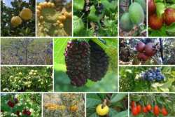 &Delta;&epsilon;&sigmaf; &Nu;έ&epsilon;&sigmaf; &Epsilon;&nu;&alpha;&lambda;&lambda;&alpha;&kappa;&tau;&iota;&kappa;έ&sigmaf; &Kappa;&alpha;&lambda;&lambda;&iota;έ&rho;&gamma;&epsilon;&iota;&epsilon;&sigmaf; &pi;&omicron;&upsilon; &Phi;έ&rho;&nu;&omicron;&upsilon;&nu; &Epsilon;&pi;&iota;&pi;&lambda;έ&omicron;&nu; &Epsilon;&iota;&sigma;ό&delta;&eta;&mu;&alpha; &sigma;&tau;&omicron;&nu; &Pi;&alpha;&rho;&alpha;&gamma;&omega;&gamma;ό!