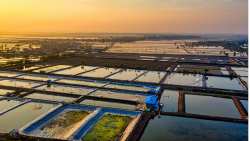 &Theta;&alpha;&lambda;ά&sigma;&sigma;&iota;&alpha; &upsilon;&delta;&alpha;&tau;&omicron;&kappa;&alpha;&lambda;&lambda;&iota;έ&rho;&gamma;&epsilon;&iota;&alpha; &kappa;&alpha;&iota; &kappa;&lambda;&iota;&mu;&alpha;&tau;&iota;&kappa;ή &alpha;&lambda;&lambda;&alpha;&gamma;ή: &Tau;&iota; &sigma;&eta;&mu;&alpha;ί&nu;&epsilon;&iota; &gamma;&iota;&alpha; &tau;&omicron;&upsilon;&sigmaf; &kappa;&alpha;&tau;&alpha;&nu;&alpha;&lambda;&omega;&tau;έ&sigmaf;