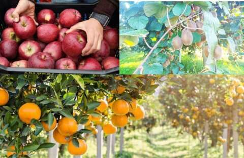 &Pi;&omega;&sigmaf; &epsilon;&xi;&epsilon;&lambda;ί&sigma;&sigma;&omicron;&nu;&tau;&alpha;&iota; &omicron;&iota; &pi;&omega;&lambda;ή&sigma;&epsilon;&iota;&sigmaf; &sigma;&epsilon; &epsilon;&sigma;&pi;&epsilon;&rho;&iota;&delta;&omicron;&epsilon;&iota;&delta;ή, &mu;ή&lambda;&alpha; &kappa;&alpha;&iota; &alpha;&kappa;&tau;&iota;&nu;ί&delta;&iota;&alpha;