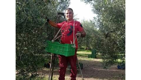 &Kappa;&alpha;&lambda;&lambda;&iota;&epsilon;&rho;&gamma;&epsilon;ί&sigmaf; &epsilon;&lambda;&iota;έ&sigmaf; &kappa;&alpha;&iota; &theta;έ&lambda;&epsilon;&iota;&sigmaf; &alpha;ύ&xi;&eta;&sigma;&eta; &pi;&alpha;&rho;&alpha;&gamma;&omega;&gamma;ή&sigmaf; &mu;&epsilon; &tau;&eta;&nu; &nu;έ&alpha; &chi;&rho;&omicron;&nu;&iota;ά?