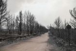 &Kappa;&lambda;&iota;&mu;ά&kappa;&iota;&alpha; &tau;&omicron;&upsilon; &Epsilon;&Lambda;.&Gamma;.&Alpha;. &sigma;&tau;&iota;&sigmaf; &pi;&lambda;&eta;&gamma;&epsilon;ί&sigma;&epsilon;&sigmaf; &pi;&epsilon;&rho;&iota;&omicron;&chi;έ&sigmaf; &Epsilon;ύ&beta;&omicron;&iota;&alpha;&sigmaf; &kappa;&alpha;&iota; &Eta;&lambda;&epsilon;ί&alpha;&sigmaf;