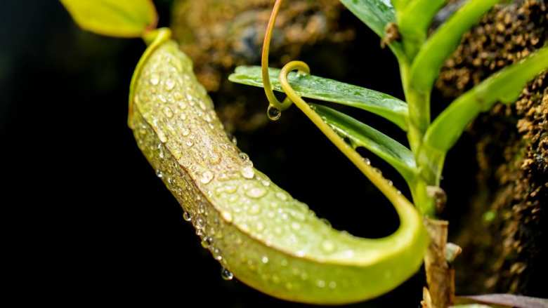&Sigma;&tau;&eta; &Lambda;ά&rho;&iota;&sigma;&alpha; &xi;&epsilon;&kappa;&iota;&nu;ά &tau;&eta;&nu; &Tau;&rho;ί&tau;&eta; &eta; 3ή&mu;&epsilon;&rho;&eta; &Pi;&alpha;&nu;&epsilon;&lambda;&lambda;&alpha;&delta;&iota;&kappa;ή &Sigma;&upsilon;&nu;ά&nu;&tau;&eta;&sigma;&eta; &Phi;&upsilon;&tau;&omicron;&pi;&rho;&omicron;&sigma;&tau;&alpha;&sigma;ί&alpha;&sigmaf;