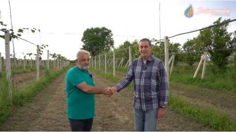 &Tau;&epsilon;&rho;ά&sigma;&tau;&iota;&alpha; &alpha;&lambda;&lambda;&alpha;&gamma;ή &sigma;&epsilon; &chi;&omega;&rho;ά&phi;&iota; - &Delta;&epsilon;&sigmaf; &pi;&omega;&sigmaf; &tau;&omicron; &kappa;&alpha;&tau;ά&phi;&epsilon;&rho;&epsilon;! (&Beta;ί&nu;&tau;&epsilon;&omicron;)