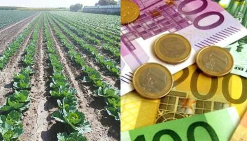 "&Pi;&rho;ά&sigma;&iota;&nu;&alpha;" &alpha;&gamma;&rho;&omicron;&tau;&epsilon;&mu;ά&chi;&iota;&alpha;: Έ&lambda;&epsilon;&gamma;&chi;&omicron;&sigmaf; &mu;έ&sigma;&omega; monitoring &gamma;&iota;&alpha; &tau;&eta;&nu; &pi;&lambda;&eta;&rho;&omega;&mu;ή &tau;&eta;&sigmaf; &pi;&rho;&omicron;&kappa;&alpha;&tau;&alpha;&beta;&omicron;&lambda;ή&sigmaf; &tau;&eta;&sigmaf; &beta;&alpha;&sigma;&iota;&kappa;ή&sigmaf; &epsilon;&nu;ί&sigma;&chi;&upsilon;&sigma;&eta;&sigmaf; &tau;&omega;&nu; &Epsilon;&Alpha;&Epsilon; 2022