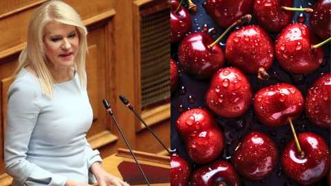 &Epsilon;&rho;ώ&tau;&eta;&sigma;&eta; &Tau;&zeta;ά&kappa;&rho;&eta; &pi;&rho;&omicron;&sigmaf; &tau;&omicron;&nu; &Upsilon;&pi;&Alpha;&Alpha;&Tau; &gamma;&iota;&alpha; &tau;&eta;&nu; &epsilon;&kappa;&tau;ί&mu;&eta;&sigma;&eta; &tau;&eta;&sigmaf; &zeta;&eta;&mu;&iota;ά&sigmaf; &sigma;&tau;&eta;&nu; &kappa;&epsilon;&rho;&alpha;&sigma;&omicron;&kappa;&alpha;&lambda;&lambda;&iota;έ&rho;&gamma;&epsilon;&iota;&alpha; &epsilon;&xi;&alpha;&iota;&tau;ί&alpha;&sigmaf; &tau;&omega;&nu; &beta;&rho;&omicron;&chi;&omicron;&pi;&tau;ώ&sigma;&epsilon;&omega;&nu;