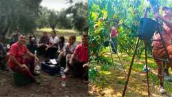 &Epsilon;&rho;ώ&tau;&eta;&sigma;&eta; &Kappa;. &Mu;&pi;&omicron;ύ&mu;&pi;&alpha;, &Beta;&omicron;&upsilon;&lambda;&epsilon;&upsilon;&tau;ή &tau;&eta;&sigmaf; &Epsilon;&lambda;&lambda;&eta;&nu;&iota;&kappa;ή&sigmaf; &Lambda;ύ&sigma;&eta;&sigmaf; &gamma;&iota;&alpha; &tau;&omicron; &pi;&rho;ό&beta;&lambda;&eta;&mu;&alpha; &alpha;&pi;ό &tau;&eta;&nu; έ&lambda;&lambda;&epsilon;&iota;&psi;&eta; &epsilon;&rho;&gamma;&alpha;&tau;ώ&nu; &gamma;&eta;&sigmaf; &gamma;&iota;&alpha; &epsilon;&pi;&omicron;&chi;&iota;&kappa;έ&sigmaf; &delta;&omicron;&upsilon;&lambda;&epsilon;&iota;έ&sigmaf;