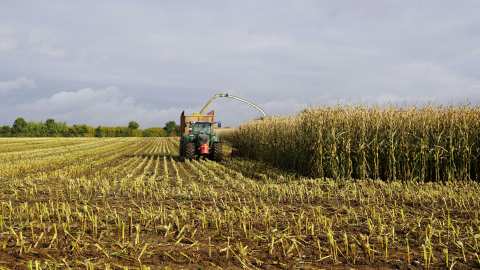 &Pi;&Omicron;&Gamma;&Epsilon;&Delta;&Upsilon;: Ό&tau;&alpha;&nu; &tau;&alpha; &epsilon;&kappa;&alpha;&tau;&omicron;&mu;&mu;ύ&rho;&iota;&alpha; &chi;&omicron;&rho;&epsilon;ύ&omicron;&upsilon;&nu;, &tau;&alpha; &ldquo;&phi;&alpha;&nu;&tau;ά&sigma;&mu;&alpha;&tau;&alpha;&rdquo; &pi;&rho;έ&pi;&epsilon;&iota; &nu;&alpha; &epsilon;&lambda;&epsilon;&gamma;&chi;&theta;&omicron;ύ&nu;