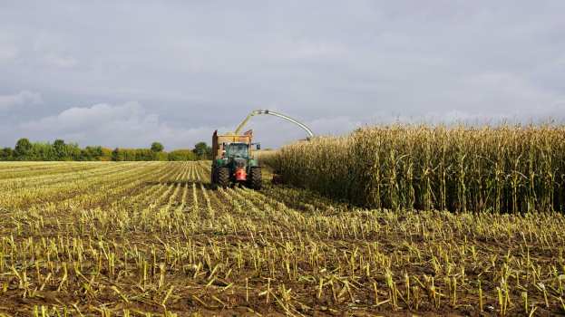 &Pi;&Omicron;&Gamma;&Epsilon;&Delta;&Upsilon;: Ό&tau;&alpha;&nu; &tau;&alpha; &epsilon;&kappa;&alpha;&tau;&omicron;&mu;&mu;ύ&rho;&iota;&alpha; &chi;&omicron;&rho;&epsilon;ύ&omicron;&upsilon;&nu;, &tau;&alpha; &ldquo;&phi;&alpha;&nu;&tau;ά&sigma;&mu;&alpha;&tau;&alpha;&rdquo; &pi;&rho;έ&pi;&epsilon;&iota; &nu;&alpha; &epsilon;&lambda;&epsilon;&gamma;&chi;&theta;&omicron;ύ&nu;