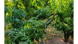 &Beta;έ&rho;&omicron;&iota;&alpha;: &Alpha;&nu;&alpha;&kappa;&omicron;ί&nu;&omega;&sigma;&eta; &gamma;&iota;&alpha; &upsilon;&pi;&omicron;&beta;&omicron;&lambda;ή &delta;&eta;&lambda;ώ&sigma;&epsilon;&omega;&nu; &zeta;&eta;&mu;&iota;ά&sigmaf; &alpha;&pi;ό &Alpha;&Nu;&Epsilon;&Mu;&Omicron;&Theta;&Upsilon;&Epsilon;&Lambda;&Lambda;&Alpha; &tau;&eta;&sigmaf; 13/6/24 &sigma;&tau;&omicron; &Mu;&alpha;&kappa;&rho;&omicron;&chi;ώ&rho;&iota;