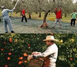 &Phi;&omega;&nu;έ&sigmaf; &alpha;&pi;ό&gamma;&nu;&omega;&sigma;&eta;&sigmaf; &alpha;&gamma;&rho;&omicron;&tau;ώ&nu; &amp; &kappa;ί&nu;&delta;&upsilon;&nu;&omicron;&sigmaf; &nu;&alpha; &mu;&epsilon;ί&nu;&omicron;&upsilon;&nu; &alpha;&sigma;&upsilon;&gamma;&kappa;ό&mu;&iota;&sigma;&tau;&epsilon;&sigmaf; &pi;&alpha;&rho;&alpha;&gamma;&omega;&gamma;έ&sigmaf; &lambda;ό&gamma;&omega; &alpha;&pi;&epsilon;&nu;&epsilon;&rho;&gamma;&omicron;&pi;&omicron;ί&eta;&sigma;&eta;&sigmaf; &tau;&eta;&sigmaf; &pi;&lambda;&alpha;&tau;&phi;ό&rho;&mu;&alpha;&sigmaf; &gamma;&iota;&alpha; &tau;&iota;&sigmaf; &mu;&epsilon;&tau;&alpha;&kappa;&lambda;ή&sigma;&epsilon;&iota;&sigmaf; &epsilon;&rho;&gamma;&alpha;&tau;ώ&nu;