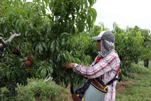 &Alpha;ί&tau;&eta;&sigma;&eta; &mu;έ&sigma;&omega; &upsilon;&pi;&eta;&rho;&epsilon;&sigma;ί&alpha;&sigmaf; &tau;&alpha;&chi;&upsilon;&mu;&epsilon;&tau;&alpha;&phi;&omicron;&rho;ά&sigmaf; ή &eta;&lambda;&epsilon;&kappa;&tau;&rho;&omicron;&nu;&iota;&kappa;&omicron;ύ &tau;&alpha;&chi;&upsilon;&delta;&rho;&omicron;&mu;&epsilon;ί&omicron;&upsilon; &gamma;&iota;&alpha; &tau;&eta; &mu;&epsilon;&tau;ά&kappa;&lambda;&eta;&sigma;&eta; &epsilon;&rho;&gamma;&alpha;&tau;ώ&nu; &gamma;&eta;&sigmaf; &alpha;&pi;ό &tau;&rho;ί&tau;&epsilon;&sigmaf; &chi;ώ&rho;&epsilon;&sigmaf; &mu;έ&chi;&rho;&iota; 15/06/2021
