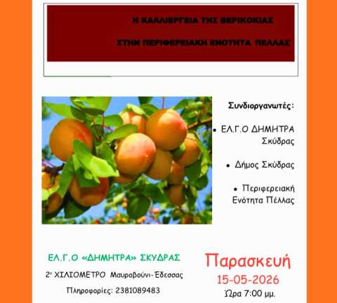 &Epsilon;&nu;&eta;&mu;&epsilon;&rho;&omega;&tau;&iota;&kappa;ή &eta;&mu;&epsilon;&rho;ί&delta;&alpha; &gamma;&iota;&alpha; &tau;&eta;&nu; &kappa;&alpha;&lambda;&lambda;&iota;έ&rho;&gamma;&epsilon;&iota;&alpha; &tau;&eta;&sigmaf; &beta;&epsilon;&rho;&iota;&kappa;&omicron;&kappa;&iota;ά&sigmaf; &sigma;&tau;&eta;&nu; &Pi;&epsilon;&rho;&iota;&phi;&epsilon;&rho;&epsilon;&iota;&alpha;&kappa;ή &Epsilon;&nu;ό&tau;&eta;&tau;&alpha; &Pi;έ&lambda;&lambda;&alpha;&sigmaf;
