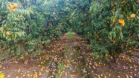 &Alpha;&beta;&omicron;ή&theta;&eta;&tau;&omicron;&iota; &omicron;&iota; &Rho;&omicron;&delta;&alpha;&kappa;&iota;&nu;&omicron;&pi;&alpha;&rho;&alpha;&gamma;&omega;&gamma;&omicron;ί: &Mu;&pi;&lambda;ό&kappa;&alpha; &chi;&omega;&rho;ί&sigmaf; &delta;ύ&nu;&alpha;&mu;&eta; - &Pi;&rho;&omicron;&beta;&lambda;ή&mu;&alpha;&tau;&alpha; &chi;&omega;&rho;ί&sigmaf; &lambda;ύ&sigma;&eta;