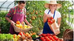 &Alpha;&Alpha;&Delta;&Epsilon;: &Sigma;&epsilon; &lambda;&epsilon;&iota;&tau;&omicron;&upsilon;&rho;&gamma;ί&alpha; &eta; &pi;&lambda;&alpha;&tau;&phi;ό&rho;&mu;&alpha; &gamma;&iota;&alpha; &tau;&eta;&nu; &epsilon;&pi;&iota;&sigma;&tau;&rho;&omicron;&phi;ή &Phi;&Pi;&Alpha; &sigma;&tau;&omicron;&upsilon;&sigmaf; &alpha;&gamma;&rho;ό&tau;&epsilon;&sigmaf; &epsilon;&iota;&delta;&iota;&kappa;&omicron;ύ &kappa;&alpha;&theta;&epsilon;&sigma;&tau;ώ&tau;&omicron;&sigmaf;