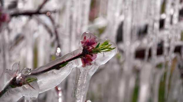 &Pi;&alpha;&gamma;&epsilon;&tau;ό&sigmaf; Ά&nu;&omicron;&iota;&xi;&eta;&sigmaf; &tau;&omicron;&upsilon; 21: Έ&rho;&chi;&omicron;&nu;&tau;&alpha;&iota; &pi;&lambda;&eta;&rho;&omega;&mu;έ&sigmaf;  έ&omega;&sigmaf; &kappa;&alpha;&iota; &tau;&omicron; 100% &tau;&eta;&sigmaf; &alpha;&sigma;&phi;&alpha;&lambda;&iota;&zeta;ό&mu;&epsilon;&nu;&eta;&sigmaf; &alpha;&xi;ί&alpha;&sigmaf; &tau;&eta;&sigmaf; &pi;&alpha;&rho;&alpha;&gamma;&omega;&gamma;ή&sigmaf;