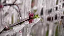 &Pi;&alpha;&gamma;&epsilon;&tau;ό&sigmaf; Ά&nu;&omicron;&iota;&xi;&eta;&sigmaf; &tau;&omicron;&upsilon; 21: Έ&rho;&chi;&omicron;&nu;&tau;&alpha;&iota; &pi;&lambda;&eta;&rho;&omega;&mu;έ&sigmaf;  έ&omega;&sigmaf; &kappa;&alpha;&iota; &tau;&omicron; 100% &tau;&eta;&sigmaf; &alpha;&sigma;&phi;&alpha;&lambda;&iota;&zeta;ό&mu;&epsilon;&nu;&eta;&sigmaf; &alpha;&xi;ί&alpha;&sigmaf; &tau;&eta;&sigmaf; &pi;&alpha;&rho;&alpha;&gamma;&omega;&gamma;ή&sigmaf;