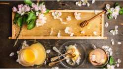 &Tau;&omicron; &gamma;&iota;&alpha;&tau;&rho;&omicron;&sigma;ό&phi;&iota; &pi;&omicron;&upsilon; &alpha;&nu;&alpha;&kappa;&omicron;&upsilon;&phi;ί&zeta;&epsilon;&iota; &beta;ή&chi;&alpha; &kappa;&alpha;&iota; &pi;&omicron;&nu;ό&lambda;&alpha;&iota;&mu;&omicron;