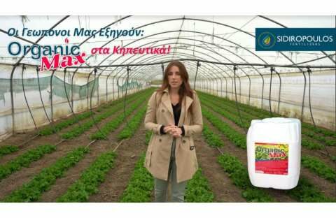 &Omicron;&phi;έ&lambda;&eta; &kappa;&alpha;&iota; &pi;&lambda;&epsilon;&omicron;&nu;&epsilon;&kappa;&tau;ή&mu;&alpha;&tau;ά &tau;&omicron;&upsilon; Organic Max &sigma;&tau;&alpha; &Kappa;&eta;&pi;&epsilon;&upsilon;&tau;&iota;&kappa;ά (&Beta;ί&nu;&tau;&epsilon;&omicron;)