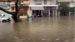 &Theta;&epsilon;&omicron;&delta;ώ&rho;&alpha; &Tau;&zeta;ά&kappa;&rho;&eta;: &Kappa;&omicron;&nu;&tau;ά &sigma;&tau;&omicron;&upsilon;&sigmaf; &pi;&lambda;&eta;&gamma;έ&nu;&tau;&epsilon;&sigmaf; &alpha;&pi;ό &tau;&iota;&sigmaf; &pi;&lambda;&eta;&mu;&mu;ύ&rho;&epsilon;&sigmaf;