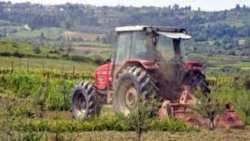 &Tau;&rho;&alpha;&gamma;&iota;&kappa;ό: &Nu;&epsilon;&kappa;&rho;ό&sigmaf; &delta;ί&pi;&lambda;&alpha; &sigma;&tau;&omicron; &tau;&rho;&alpha;&kappa;&tau;έ&rho; &tau;&omicron;&upsilon; &beta;&rho;έ&theta;&eta;&kappa;&epsilon; 69&chi;&rho;&omicron;&nu;&omicron;&sigmaf;