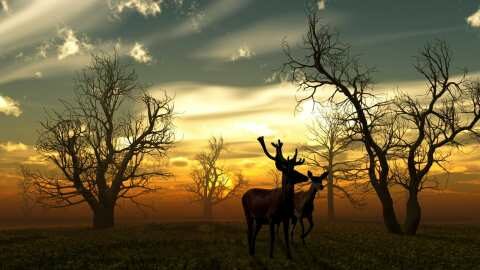 8 &chi;&rho;ό&nu;&iota;&alpha; &kappa;ά&theta;&epsilon;&iota;&rho;&xi;&eta; &sigma;&epsilon; 69&chi;&rho;&omicron;&nu;&omicron; &alpha;&gamma;&rho;ό&tau;&eta;