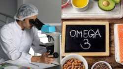 &Tau;&alpha; &omega;&mu;έ&gamma;&alpha;-3 &lambda;&iota;&pi;&alpha;&rho;ά &sigma;&tau;&eta; &mu;ά&chi;&eta; &kappa;&alpha;&tau;ά &tau;&eta;&sigmaf; &epsilon;&xi;&alpha;&sigma;&theta;έ&nu;&iota;&sigma;&eta; &tau;&eta;&sigmaf; ό&rho;&alpha;&sigma;&eta;&sigmaf; &alpha;&pi;ό &delta;&iota;&alpha;&beta;ή&tau;&eta; &kappa;&alpha;&iota; &Alpha;&lambda;&tau;&sigma;&chi;ά&iota;&mu;&epsilon;&rho;