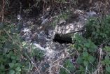 &Zeta;&eta;&tau;&omicron;ύ&nu;&tau;&alpha;&iota; &alpha;&mu;&epsilon;&sigma;&epsilon;&sigmaf; &pi;&alpha;&rho;&epsilon;&mu;&beta;ά&sigma;&epsilon;&iota;&sigmaf; &gamma;&iota;&alpha; &tau;&omicron;&nu; &Tau;&rho;&iota;&pi;ό&tau;&alpha;&mu;&omicron;