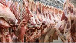 &Sigma;&upsilon;&nu;&epsilon;&chi;ί&zeta;&omicron;&nu;&tau;&alpha;&iota; &mu;&epsilon; &epsilon;&nu;&tau;&omicron;&lambda;ή &Upsilon;&phi;&Alpha;&Alpha;&Tau;, &Sigma;.&Kappa;&epsilon;&delta;ί&kappa;&omicron;&gamma;&lambda;&omicron;&upsilon; &omicron;&iota; &alpha;&upsilon;&sigma;&tau;&eta;&rho;&omicron;ί έ&lambda;&epsilon;&gamma;&chi;&omicron;&iota; &sigma;&epsilon; ό&lambda;&alpha; &tau;&alpha; &sigma;&tau;ά&delta;&iota;&alpha; &delta;&iota;&alpha;&kappa;ί&nu;&eta;&sigma;&eta;&sigmaf; &alpha;&mu;&nu;&omicron;&epsilon;&rho;&iota;&phi;ί&omega;&nu; &epsilon;&nu;ό&psi;&epsilon;&iota; &Pi;&rho;&omega;&tau;&omicron;&mu;&alpha;&gamma;&iota;ά&sigmaf;