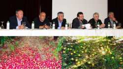 &Beta;&rho;&omicron;&chi;&omicron;&pi;&tau;ώ&sigma;&epsilon;&iota;&sigmaf;-&Rho;&omicron;&delta;ά&kappa;&iota;&nu;&alpha;: &Alpha;&pi;&omicron;&phi;&alpha;&sigma;&iota;&sigma;&mu;έ&nu;&epsilon;&sigmaf; &omicron;&iota; &sigma;&upsilon;&nu;&epsilon;&tau;&alpha;&iota;&rho;&iota;&sigma;&tau;&iota;&kappa;έ&sigmaf; &omicron;&rho;&gamma;&alpha;&nu;ώ&sigma;&epsilon;&iota;&sigmaf; &alpha;&pi;&alpha;&iota;&tau;&omicron;ύ&nu; &tau;&eta;&nu; &epsilon;&phi;&alpha;&rho;&mu;&omicron;&gamma;ή &tau;&omicron;&upsilon; &kappa;&alpha;&nu;&omicron;&nu;&iota;&sigma;&mu;&omicron;ύ &Epsilon;&Lambda;&Gamma;&Alpha; (&Beta;ί&nu;&tau;&epsilon;&omicron;)