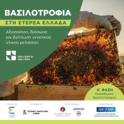 Έ&nu;&alpha;&rho;&xi;&eta; &pi;&rho;&omicron;&gamma;&rho;ά&mu;&mu;&alpha;&tau;&omicron;&sigmaf; &laquo;&Beta;&alpha;&sigma;&iota;&lambda;&omicron;&tau;&rho;&omicron;&phi;ί&alpha; &sigma;&tau;&eta; &Sigma;&tau;&epsilon;&rho;&epsilon;ά &Epsilon;&lambda;&lambda;ά&delta;&alpha; - &Alpha;&xi;&iota;&omicron;&pi;&omicron;ί&eta;&sigma;&eta;, &delta;&iota;ά&sigma;&omega;&sigma;&eta; &kappa;&alpha;&iota; &beta;&epsilon;&lambda;&tau;ί&omega;&sigma;&eta; &gamma;&epsilon;&nu;&epsilon;&tau;&iota;&kappa;&omicron;ύ &upsilon;&lambda;&iota;&kappa;&omicron;ύ &mu;&epsilon;&lambda;&iota;&sigma;&sigma;ώ&nu;, &Alpha;&rsquo; &phi;ά&sigma;&eta;: &Epsilon;&kappa;&pi;&alpha;ί&delta;&epsilon;&upsilon;&sigma;&eta; &Beta;&alpha;&sigma;&iota;&lambda;&omicron;&tau;&rho;ό&phi;&omega;&nu;&raquo;