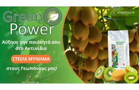 &Alpha;&kappa;&tau;&iota;&nu;ί&delta;&iota;&alpha;: &Pi;&omega;&sigmaf; &nu;&alpha; &alpha;&upsilon;&xi;ή&sigma;&omega; &tau;&eta;&nu; &pi;&omicron;&iota;ό&tau;&eta;&tau;&alpha; &kappa;&alpha;&iota; &tau;&eta;&nu; &gamma;&omicron;&nu;&iota;&mu;ό&tau;&eta;&tau;&alpha; &gamma;ύ&rho;&eta;&sigmaf;?